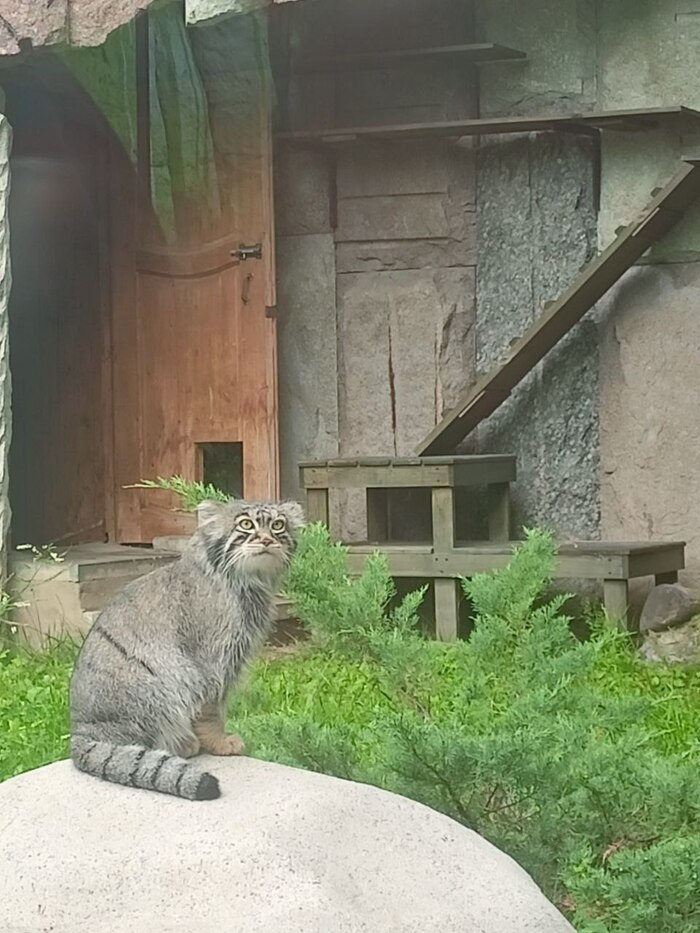        ,  , ,  ,  ,  , , 