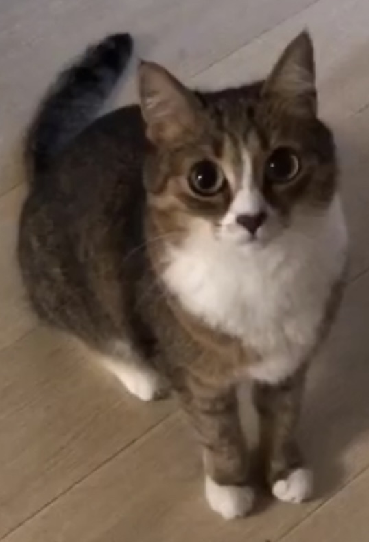 ,  !  ,  , , , , , 