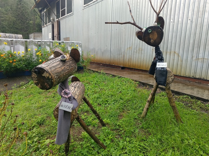 Ну а это по-видимому сотрудники кочегарки 🤣