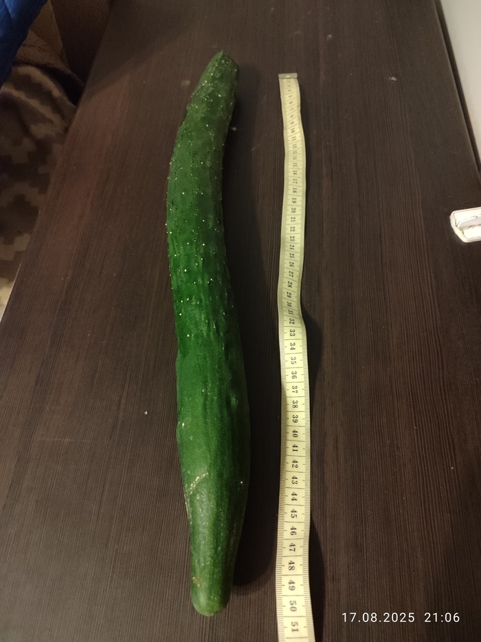 Огурец Пикабушника