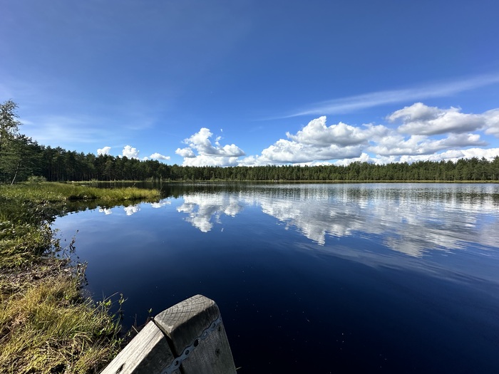 �� �������� ������ ������ �� �����