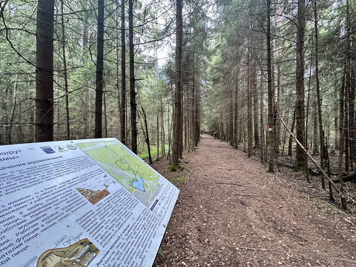 ������ ����� �� ��������