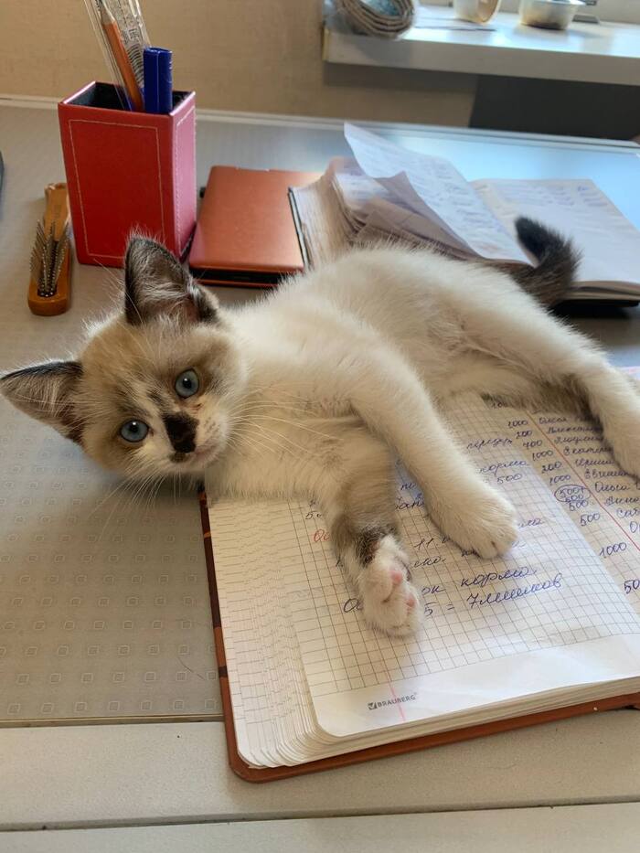         , ,  ,  ,  , , , ,   , , ,  , ,  ,  , 