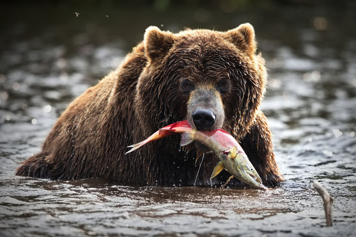 А вот рыбку поймал!