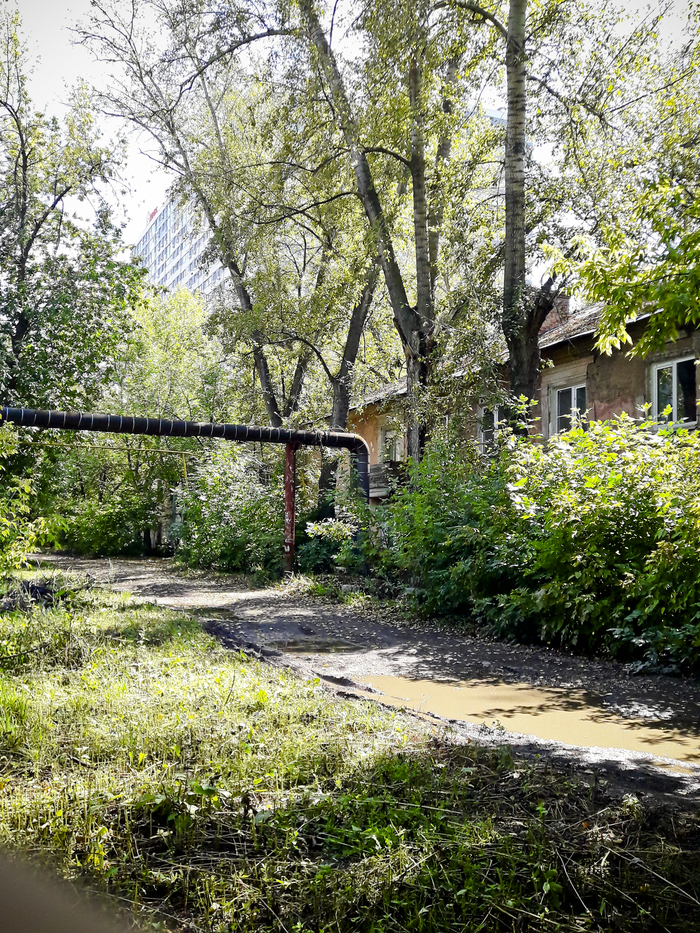 Фото просто красивое