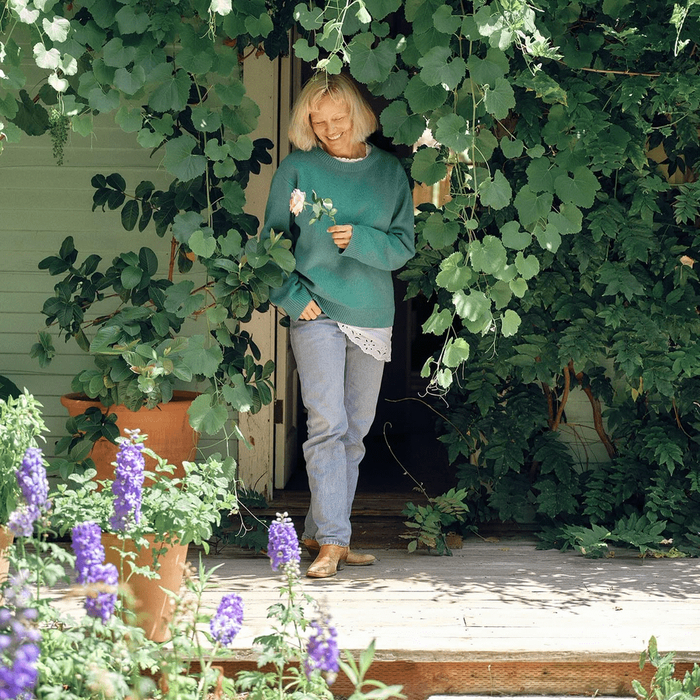       :  ,  ,      "" .      -   "  "