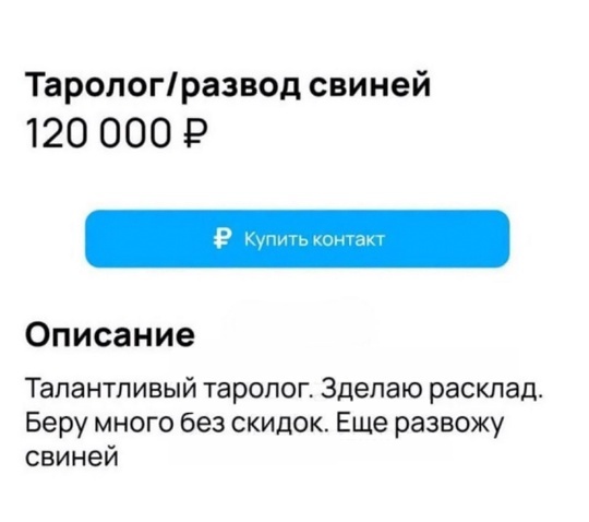  ,    , Telegram (), , , , , 