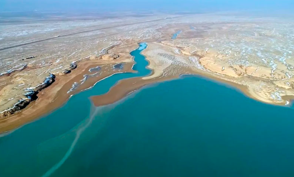 The Aral Sea: How did the water flow away, where did the fish go and is there hope? - Aral Sea, Desert, Nature, Animals, Wild animals, wildlife, Sea, A fish, Yandex Zen, Yandex Zen (link), Longpost