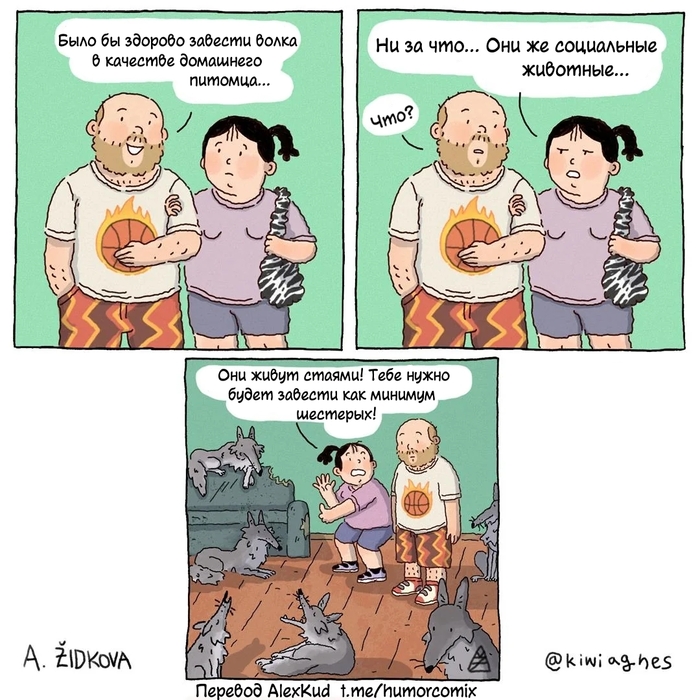    , , , ,  , Kiwiagnes