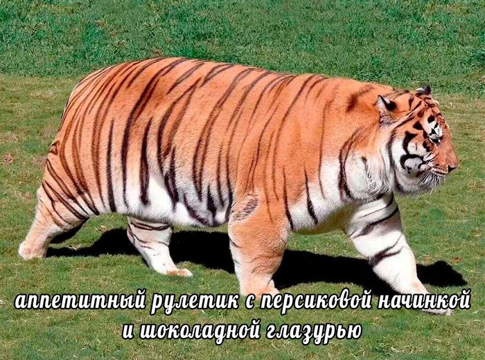  , , , 