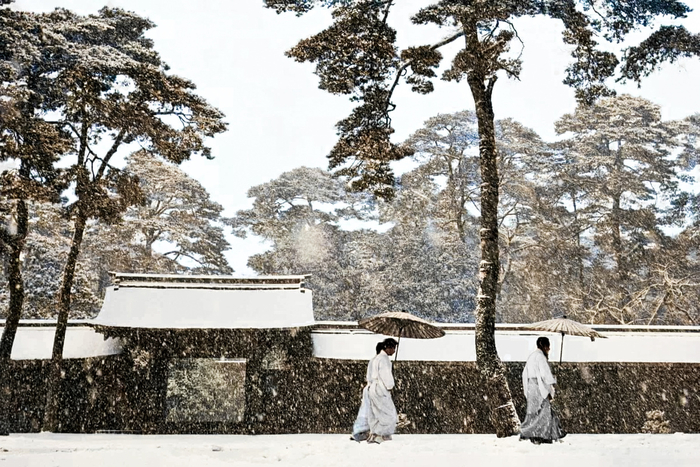 ��������: ������ �����