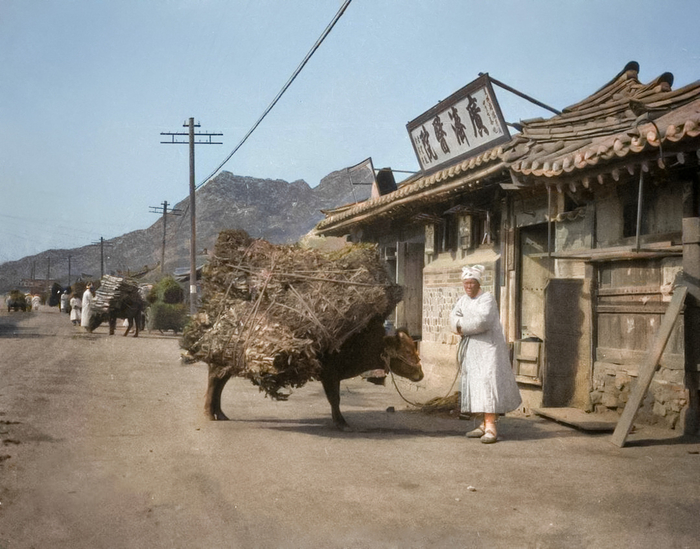 ��������: James Dearden Holmes.