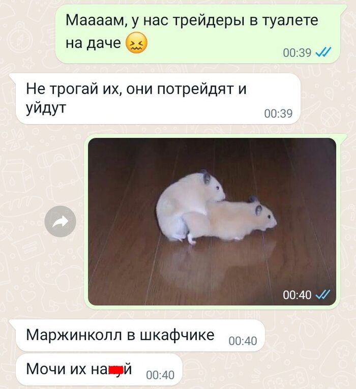   ,       ,         :    -?