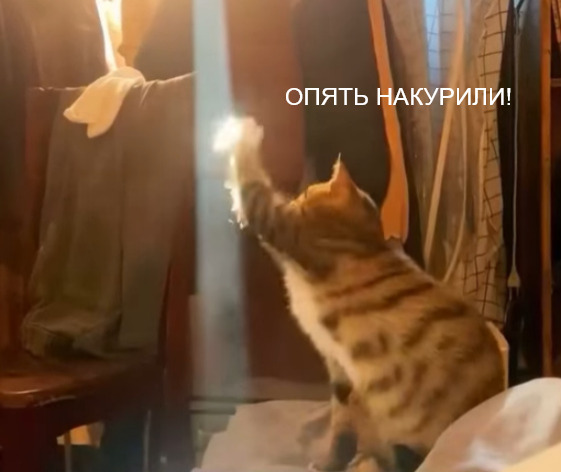    , , 