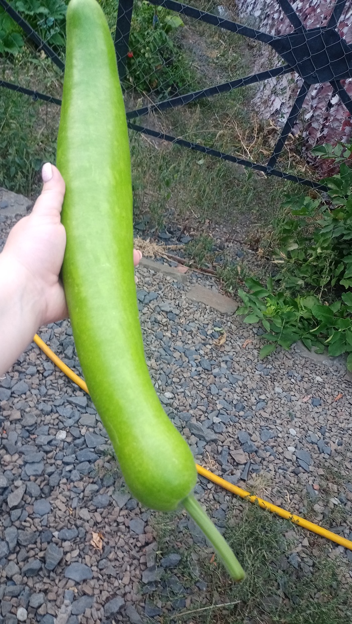      ! , , , ,  , , ,   ,  , , ,  , 