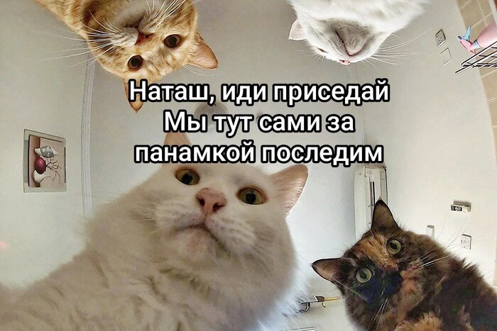     ,  , , , , ,  , , ,  , ,  ,  , 