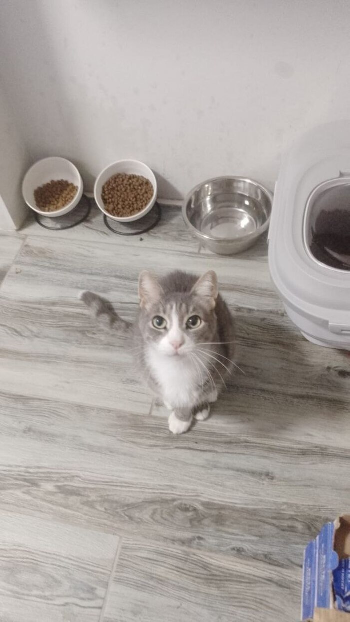 Мама, ты когда за мной приедешь?