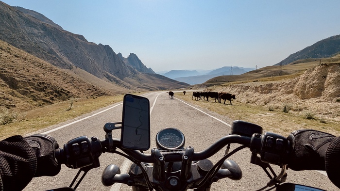    - -- , , , , , Harley-davidson, , , ,   , ,  ,  , ,  ,  , , , , , ,   , 
