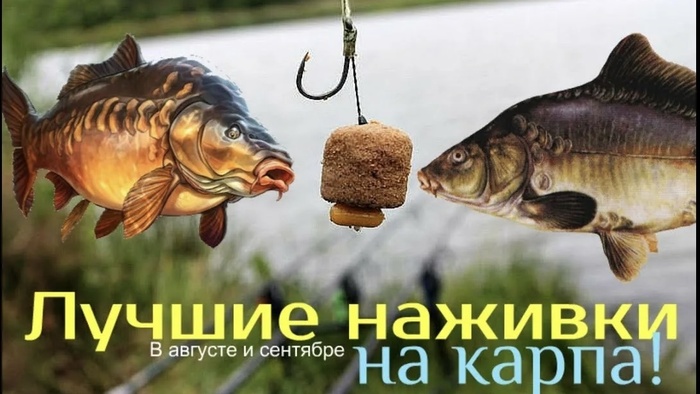   -:     , , ,   , ,  , , , , , , , 