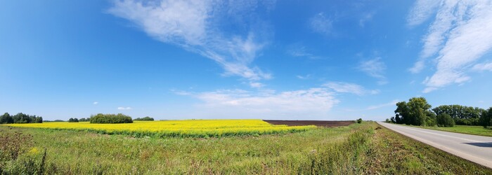 Почти дома. Поля Алтайского края