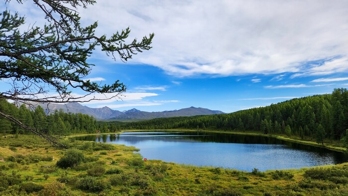 Озеро Киделю на вершине Улаганского перевала