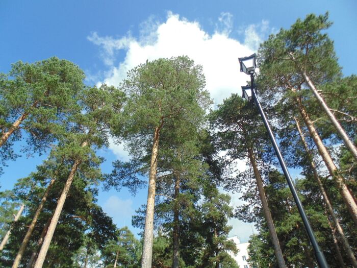 Прогулка Фотография, Лето, Озеро, Длиннопост