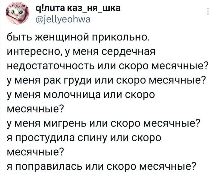       :    , , , Telegram ()