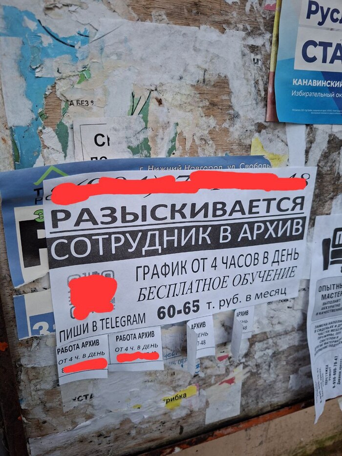          ? :    ,  , , Tiens, , 2000-, , 