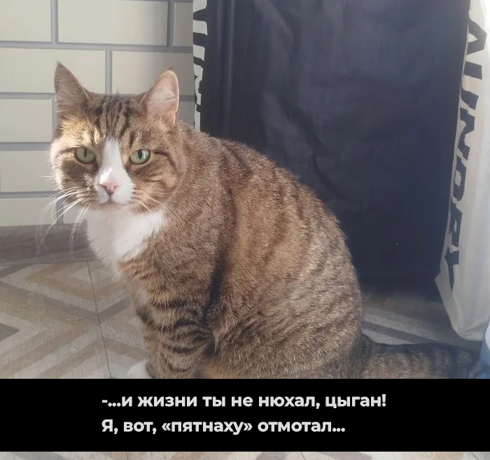     :      .   ,  , 