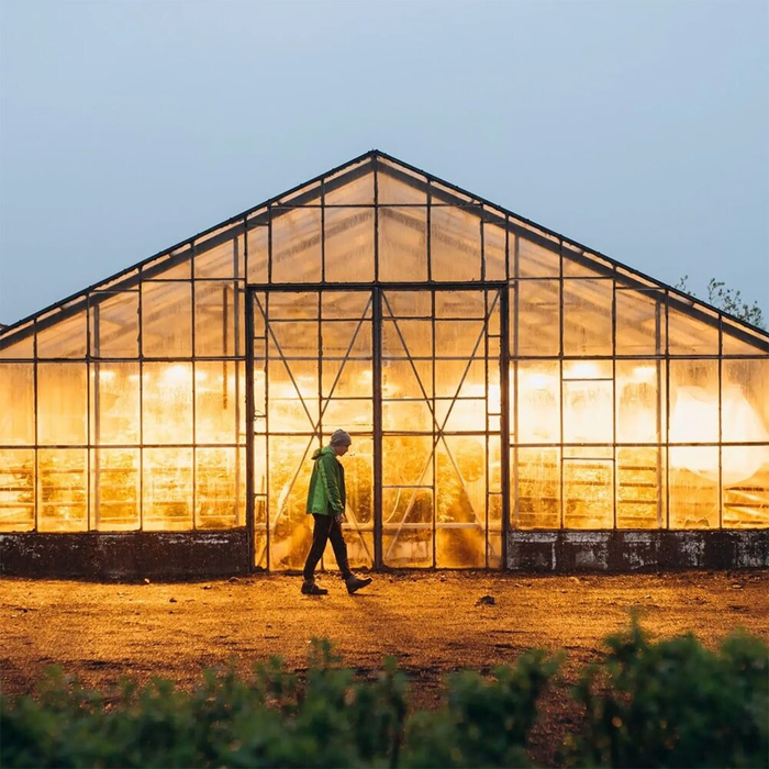   (/LED),     1416 .  ,       ,   .