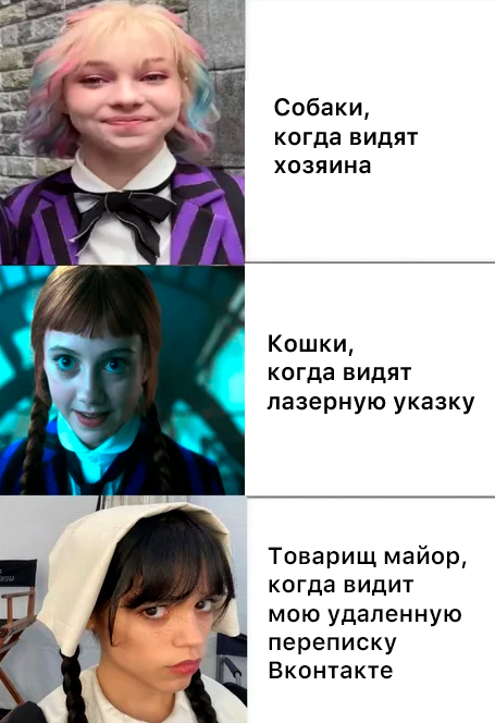 ������, ������� �� ���������