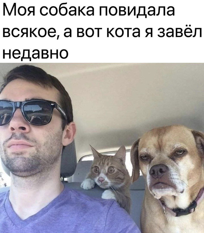   ,   , , , , Telegram (), 