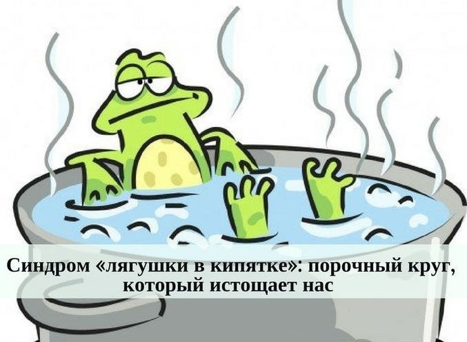 Лягушка в кипятке. Или нет?...