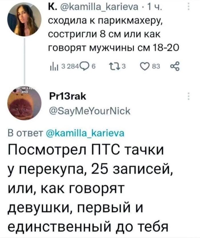     , Kamilla Karieva (Twitter), X (Twitter), , , ,  , 