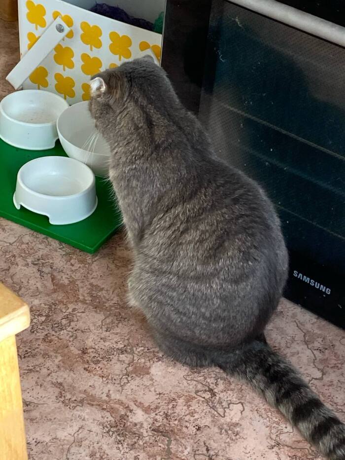 � �� �����! ���?