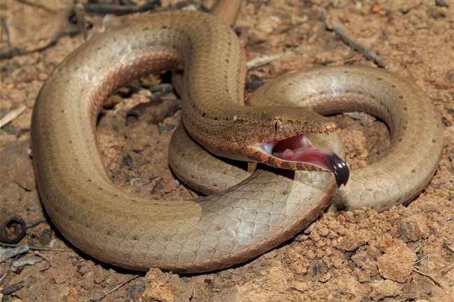 ����� ��������, ��� ����� ����� �������� ������� ���� �� ����� �� ���� �������, � ��� ������� ���������� ������� ����� �����.