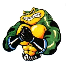 Battletoad