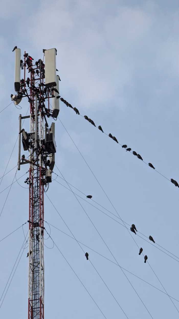    5G 5G, , ,  