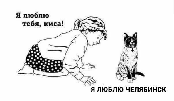 Киса сделала правильный выбор