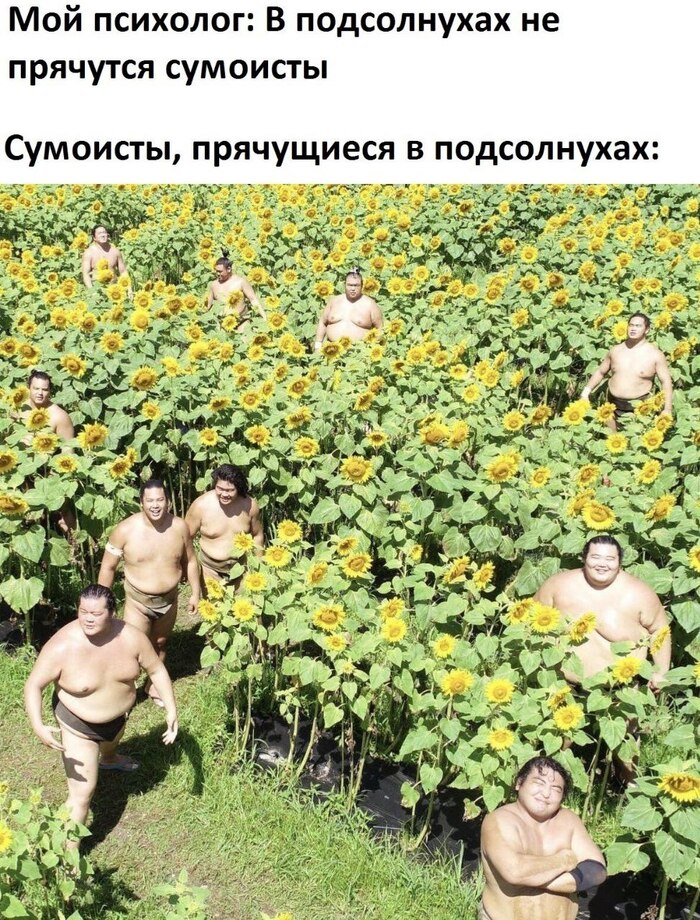    , , , ,   , 