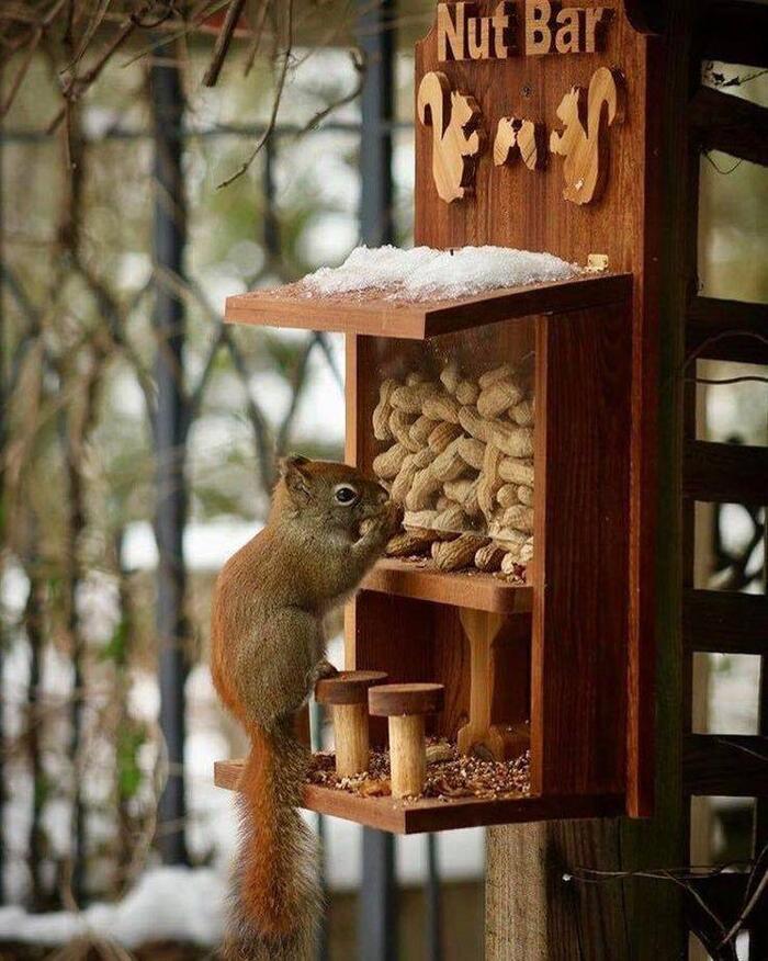 It's driving her nuts , , , , , , 