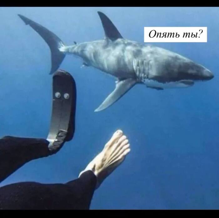 Когда вновь и вновь заплываешь на те же грабли