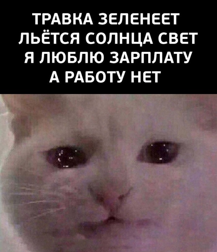     pro max? [:|||:] ,  , , 