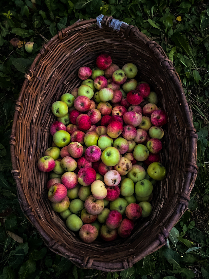 Фото с запахом