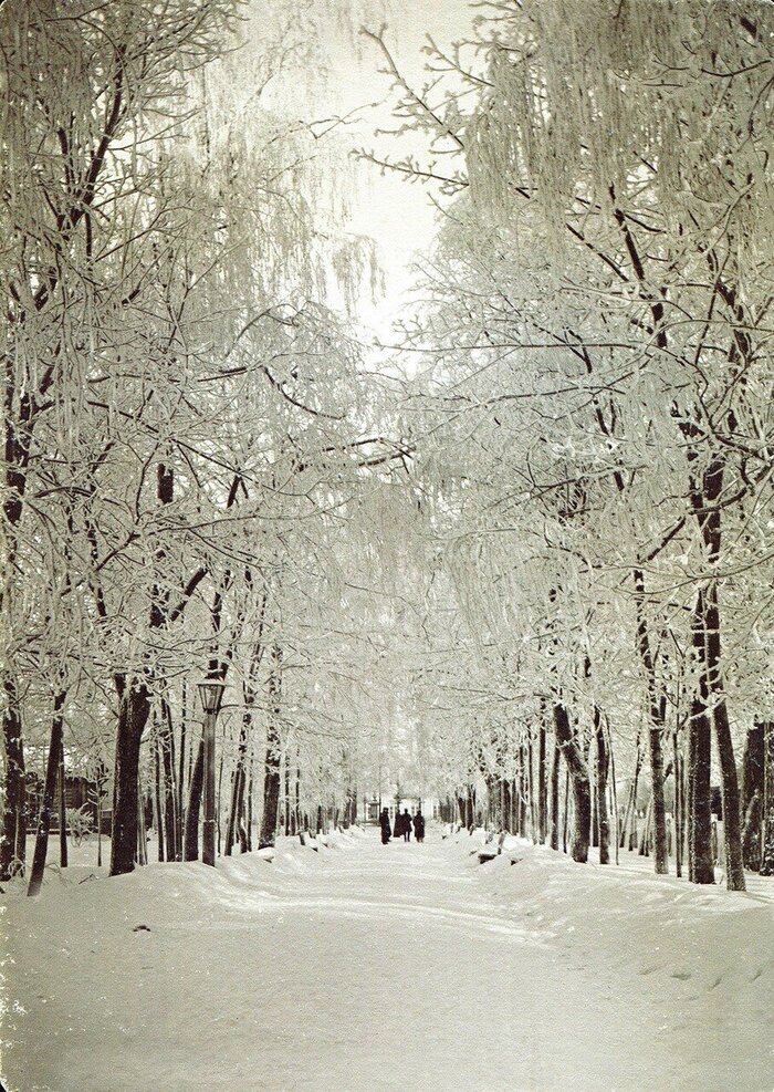 Городской сад Блонье зимой
