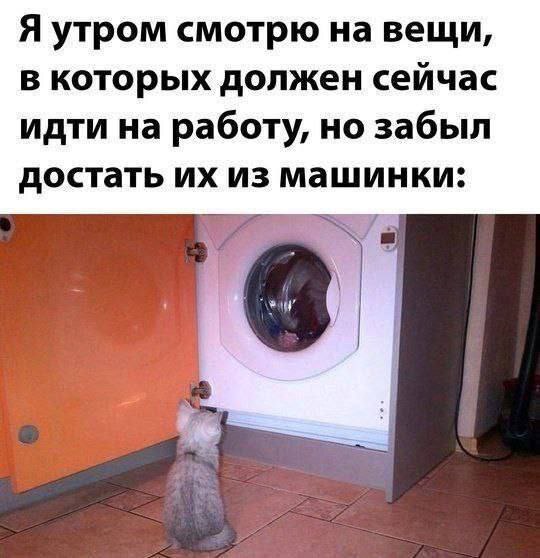   , ,   ,  ,  