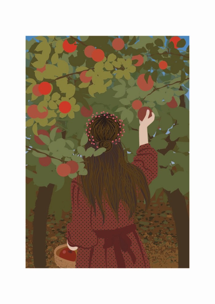  " ",          ,  , ,  , Adobe Illustrator, 