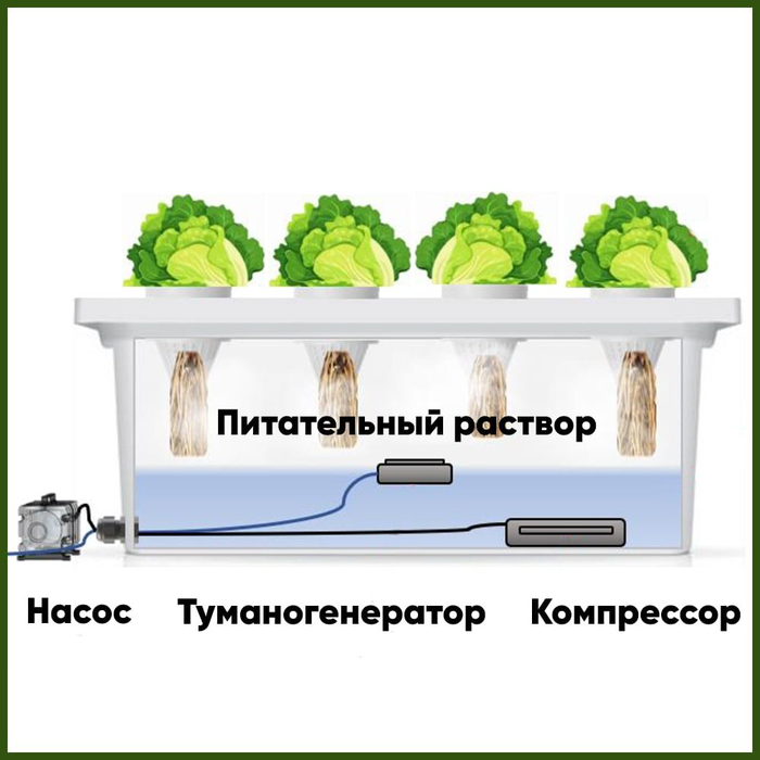   ,   ,   .    ""   EC/pH    -       .