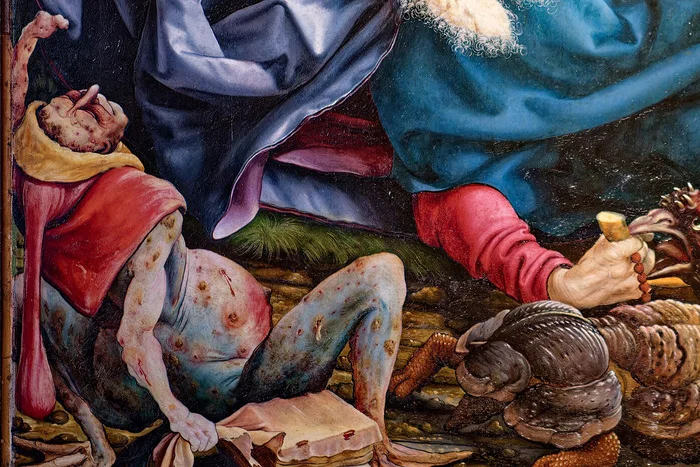 Это создание породило охоту на ведьм, и способствовало образованию Франции и Германии Биология, Дикая природа, Грибы, Спорынья, Длиннопост