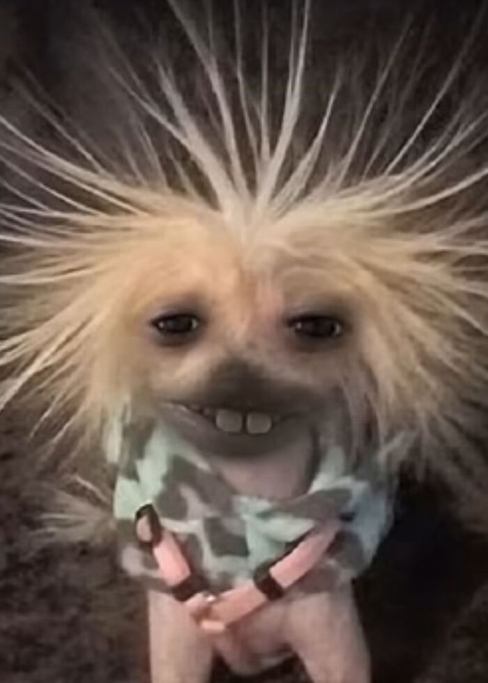 � � ���� �������� ��� �������